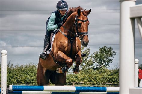 Nutrition for Showjumping Horses - British Horse Feeds