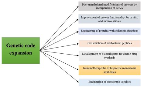 Applications of genetic code expansion. | Download Scientific Diagram