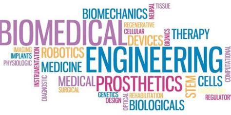 Best Biomedical Engineering Schools in the USA - HelpToStudy.com