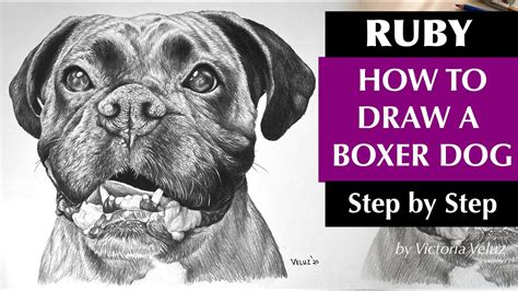 How to Draw a Boxer Dog Step by Step - Ruby! - YouTube