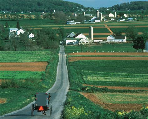 Amish | Definition, History, Beliefs, Education, Children, Lifestyle ...