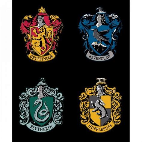 Harry Potter - All House Crests Panel