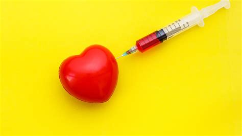 Israeli scientists find vital key to fixing damaged heart tissue ...