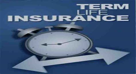 Best Term Life Insurance Companies in the USA - World Fx Online