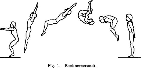 Figure 1 from Control of a Four-Link Biped in a Back Somersault Maneuver | Semantic Scholar