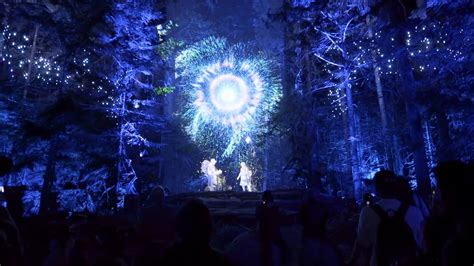 Vallea Lumina Whistler | Whistler, Installation art, Whistler canada