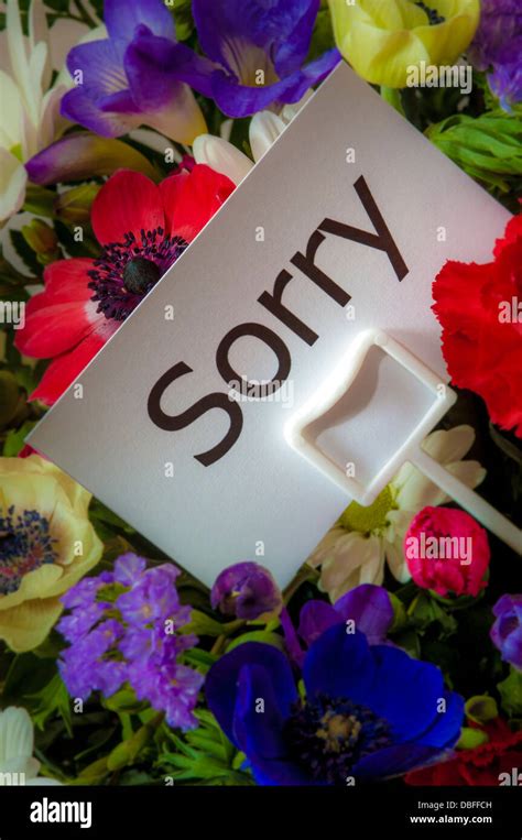 Apology card hi-res stock photography and images - Alamy