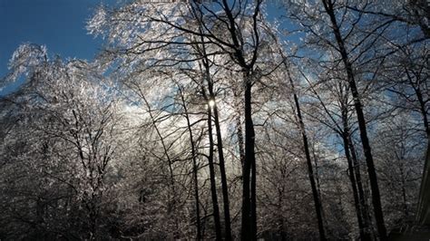 Heavy ice storm pummels much of Ontario | CTV News