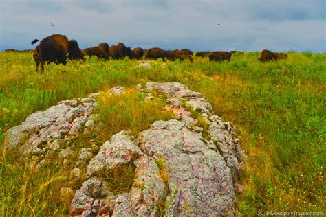 Roaming the Prairie | Gaining Life Experience