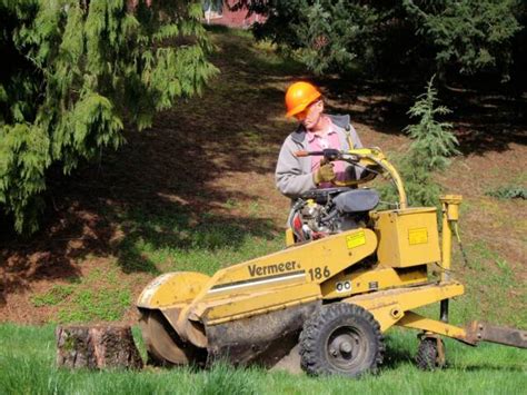 Stump Grinding, Stump Removal Service and Stump Services in Portland