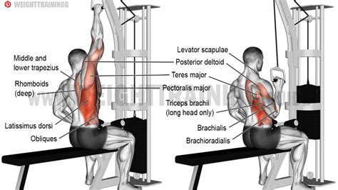 Best back exercises for lower, middle, and upper back! - Page 2 of 9 ...