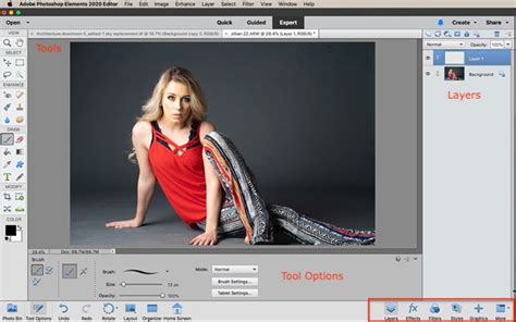 Adobe Photoshop Elements vs Photoshop CC - Which is Best 2024?