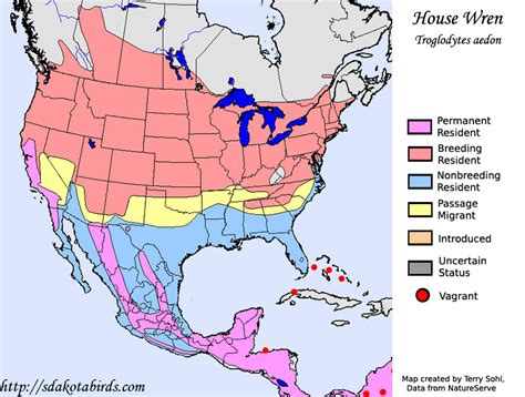 House Wren - Species Range Map