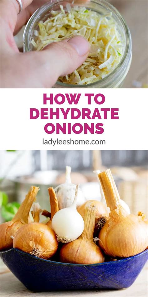 Dehydrating Onions For Long Term Storage | Recipe | Dehydrated onions ...