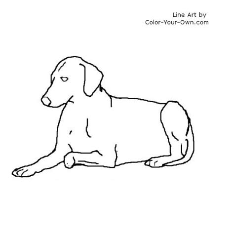 Dog - Lying Down Coloring Page