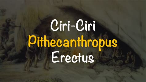 Ciri-Ciri Pithecanthropus Erectus dan Robustus | Freedomsiana