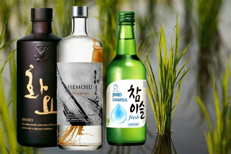 Top Soju Brands In South Korea What You Should Order, 51% OFF