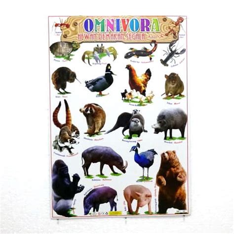 Jual POSTER ANAK GAMBAR BINATANG OMNIVORA | Shopee Indonesia