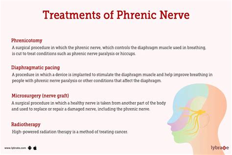 Phrenic Nerve (Human Anatomy): Image, Functions, Diseases and Treatments