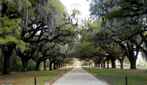 Have Retirement. Will Travel.: Boone Hall Plantation and Gardens and Sweetgrass Baskets