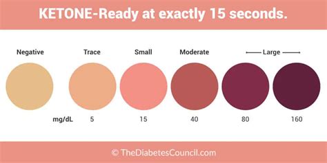 The Ultimate Guide to Ketone Testing - TheDiabetesCouncil.com