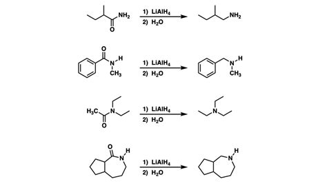 Amides Examples