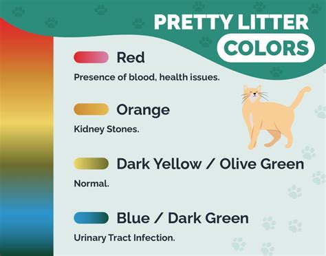 Pretty Litter Colors: What Do They Mean? (With Color Chart) | Hepper