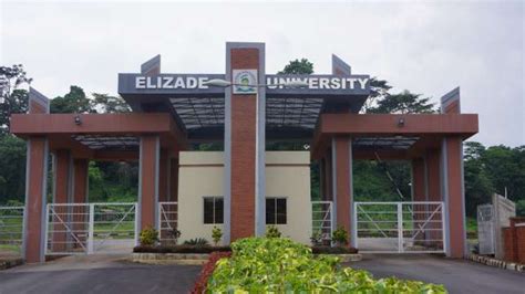 Elizade University unveils new logo – Punch Newspapers