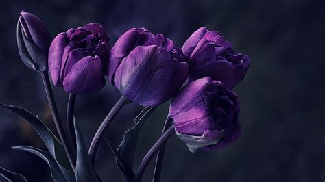 HD wallpaper: Happy Easter, holidays, eggs, flowers, tulips, flora | Wallpaper Flare