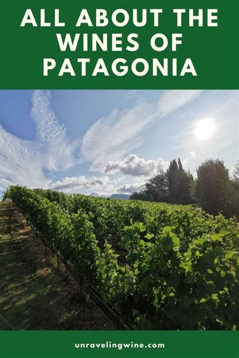 Patagonia Wine Region: Wines of Argentina - Unraveling Wine | Wine ...