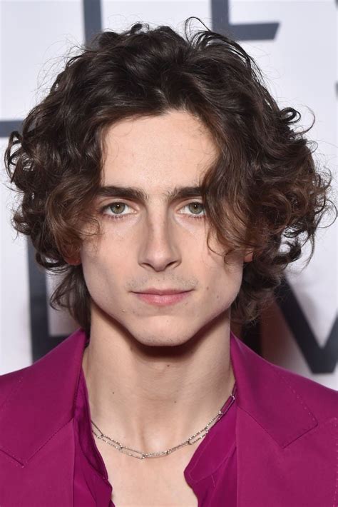 Timothée Chalamet - Profile Images — The Movie Database (TMDB)