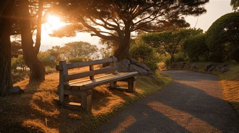 Wooden Bench Sits In A Park At Sunset Background, Park Bench At Sunset, Hd Photography Photo ...