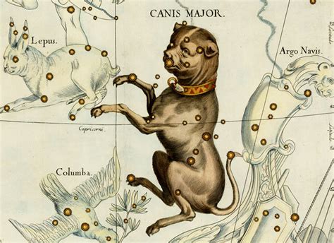 Canis Major Constellation Myth and Facts | Under the Night Sky