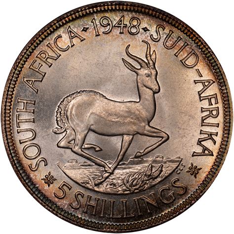 South Africa 5 Shillings KM 40.1 Prices & Values | NGC