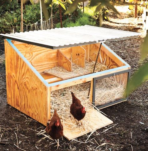 How to Build a Chicken Coop | Chicken coop designs, Chicken diy, Best ...