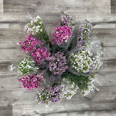 Raffine Assorted Box 200 Stems - FlowersAndServices® Nationwide