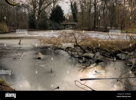 Vondelpark amsterdam winter hi-res stock photography and images - Alamy