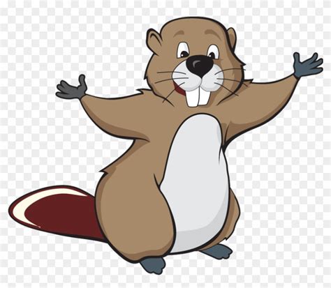 Beaver Png - Beaver Cartoon, Transparent Png - 900x900(#1417853) - PngFind