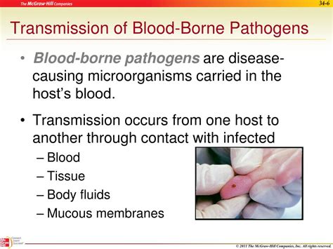 PPT - HIV, Hepatitis, and Other Blood-Borne Pathogens PowerPoint Presentation - ID:6686455