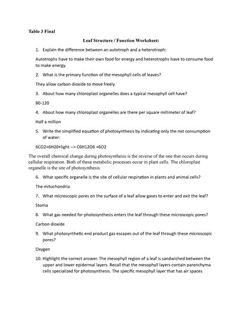 Leaf structure and function lecture notes - Table 3 Final Leaf Structure / Function Worksheet ...