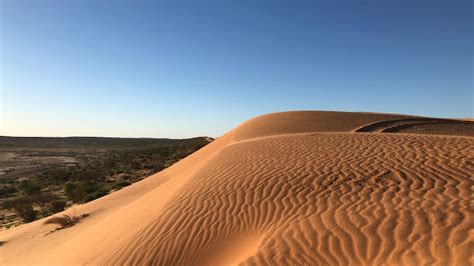 Australia's biggest national park declared in South Australia's far ...