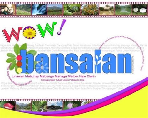 "WOW" Bansalan: Municipality of Bansalan