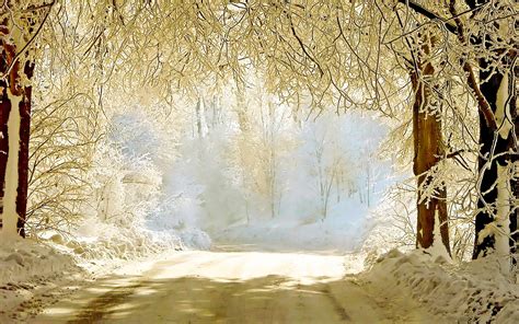 Winter HD Wallpapers 3 | Winter wallpaper hd, Outdoor christmas photos, Winter wallpaper