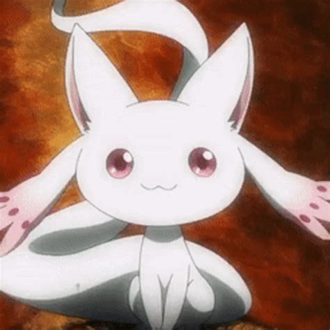 Magia Record Madoka Magica GIF - Magia Record Madoka Magica Kyubey - Discover & Share GIFs