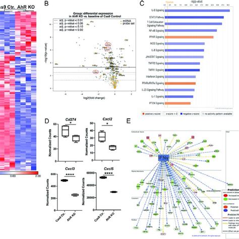 The AhR modulates immune signaling pathways in MOC1 tumor cells. Gene ...