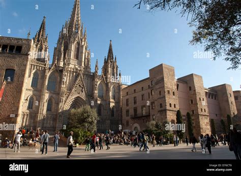 La Plaza de la Catedral, Barcelona Fotografía de stock - Alamy