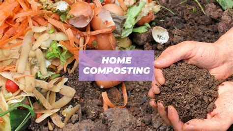 The Complete Guide to Home Composting in 5 Easy Steps - PunkMed