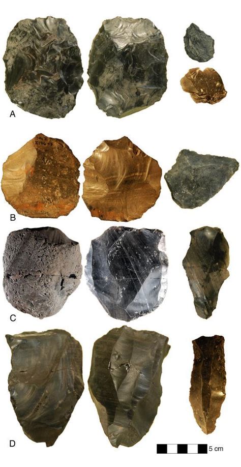 Levallois Technique Rethink: Stone Age Tools Not African Invention | Science 2.0