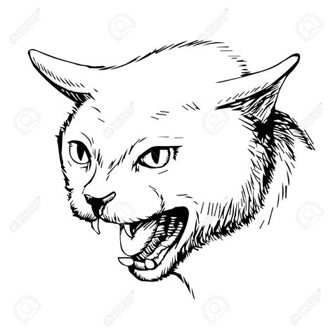 Angry Cat Drawing Sketch Coloring Page