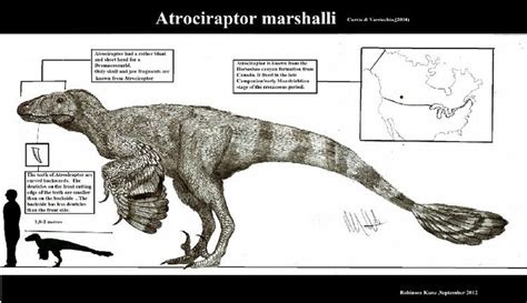 Atrociraptor - Alchetron, The Free Social Encyclopedia